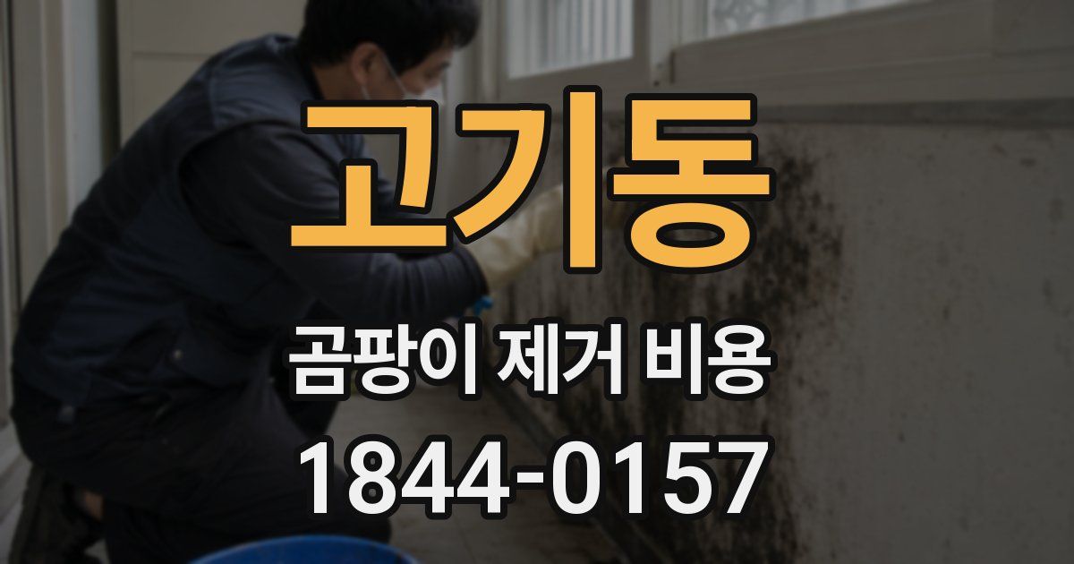 고기동 곰팡이 제거 비용