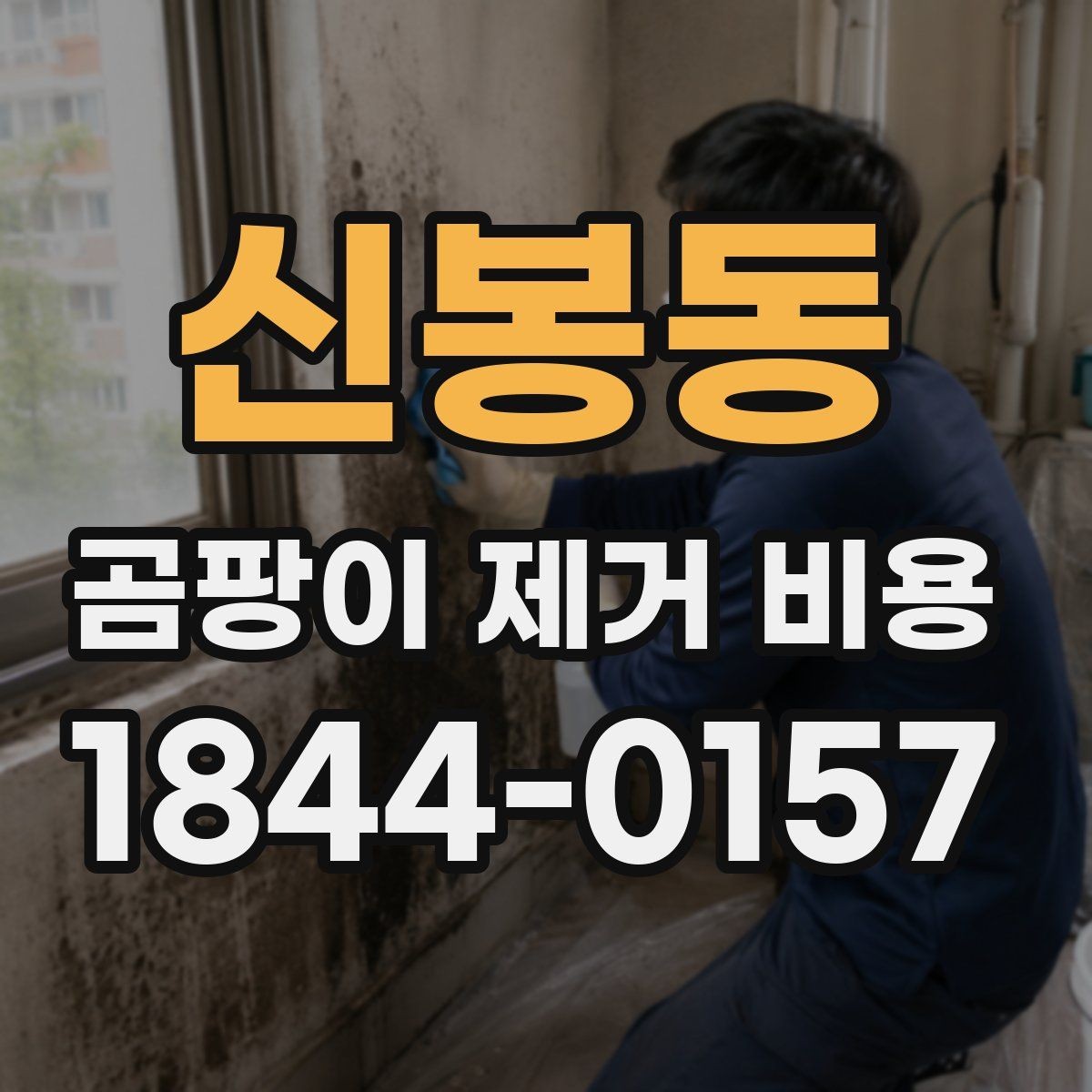 신봉동 곰팡이 제거 비용 견적에 냄새 제거가 포함되는지