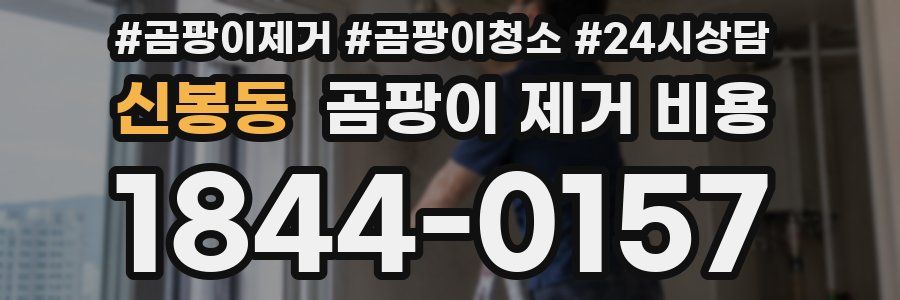 신봉동 곰팡이 제거 비용