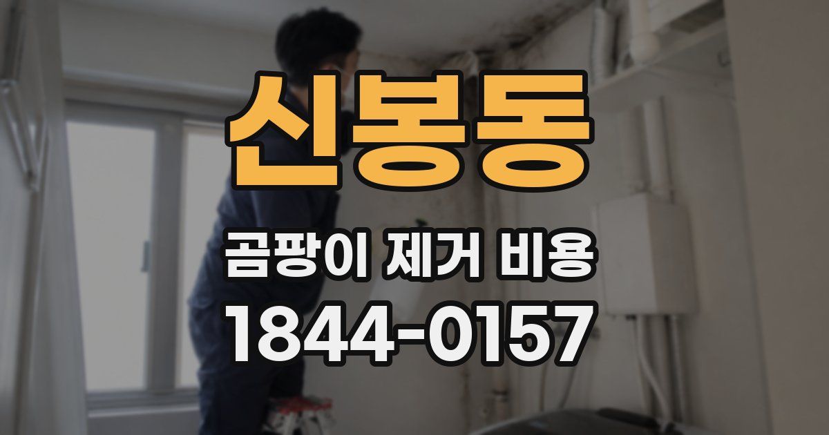 신봉동 곰팡이 제거 비용