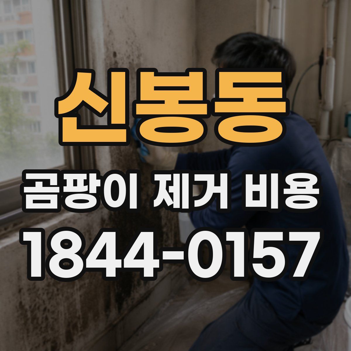 신봉동 곰팡이 제거 비용