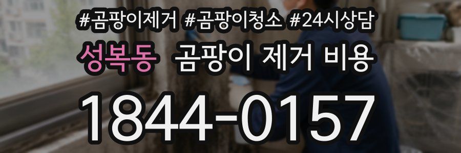 성복동 곰팡이 제거 비용
