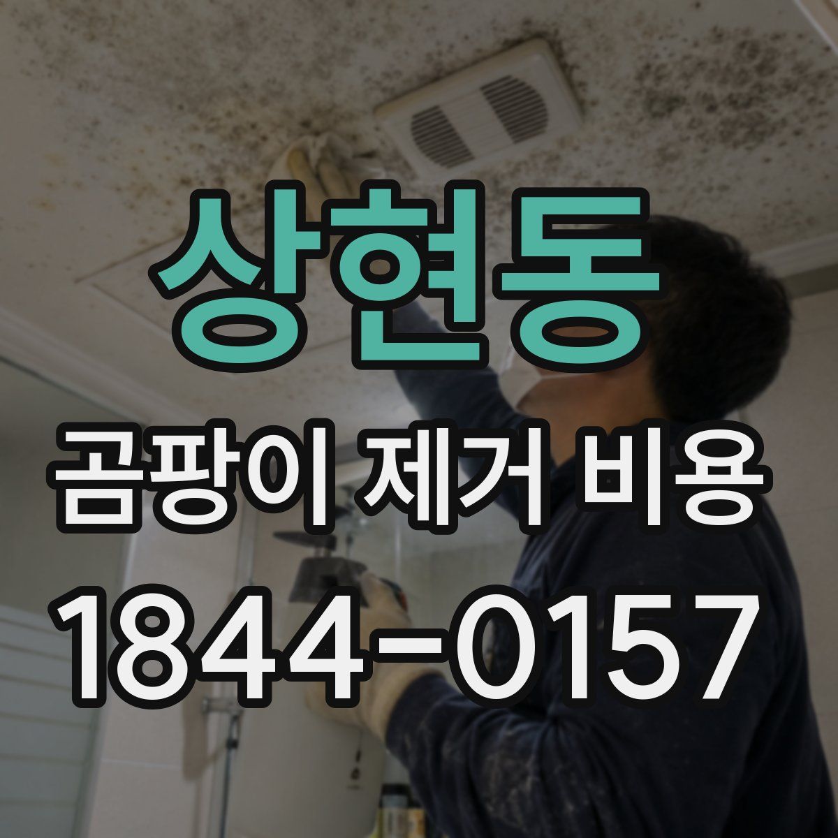 상현동 곰팡이 제거 비용