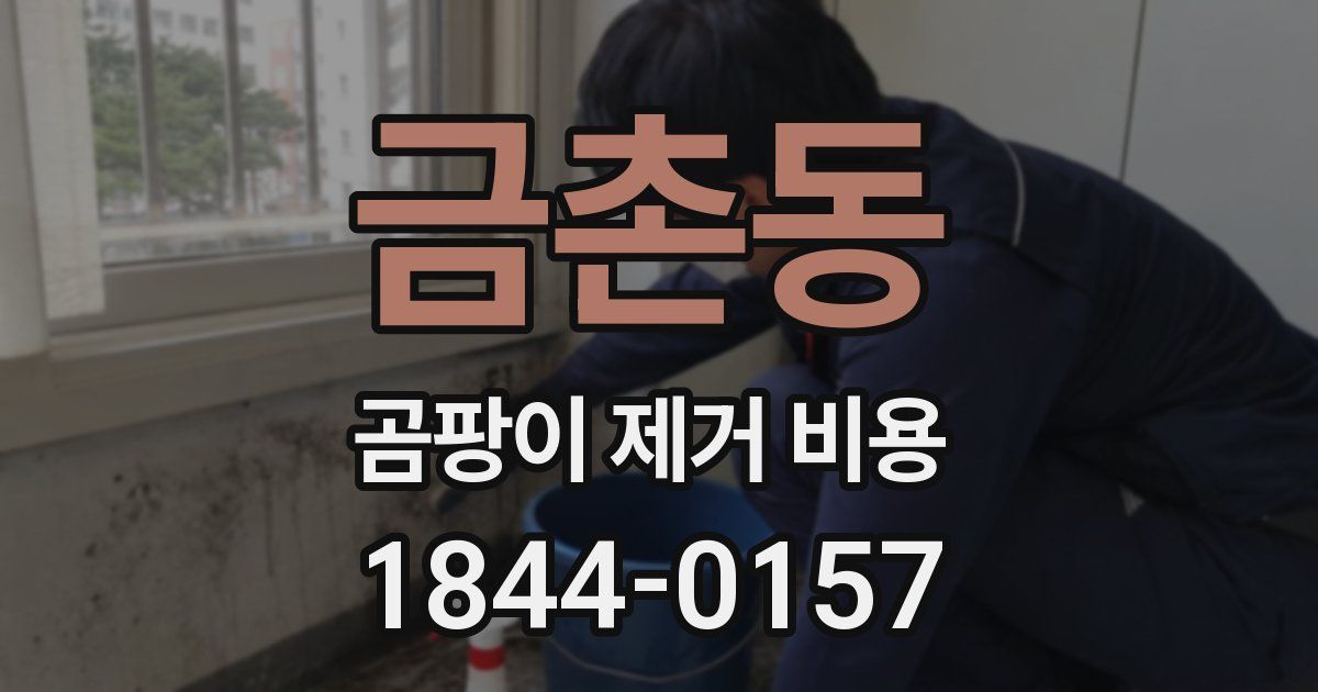 금촌동 곰팡이 제거 비용