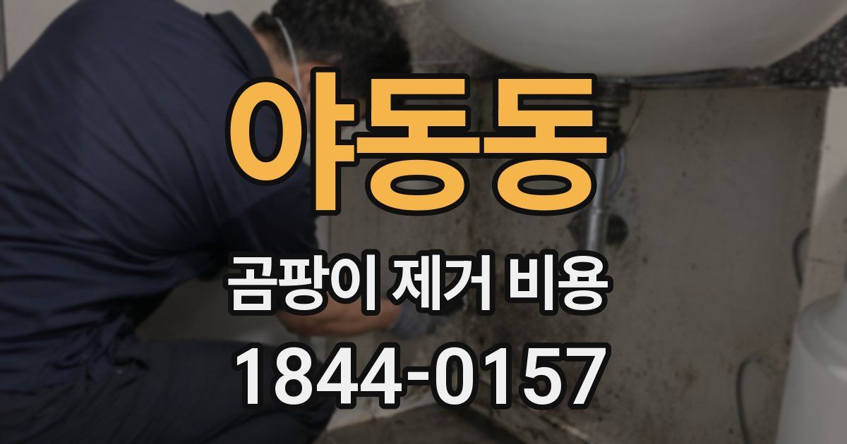 야동동 곰팡이 제거 비용