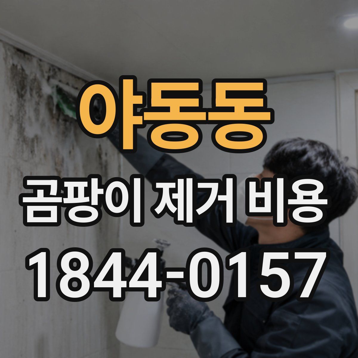 야동동 곰팡이 제거 비용