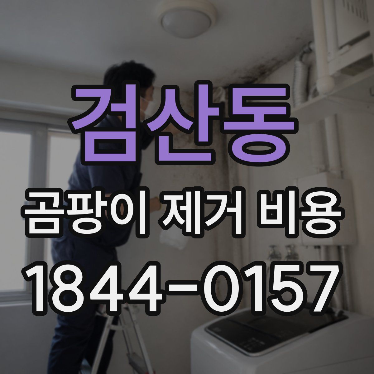검산동 곰팡이 제거 비용