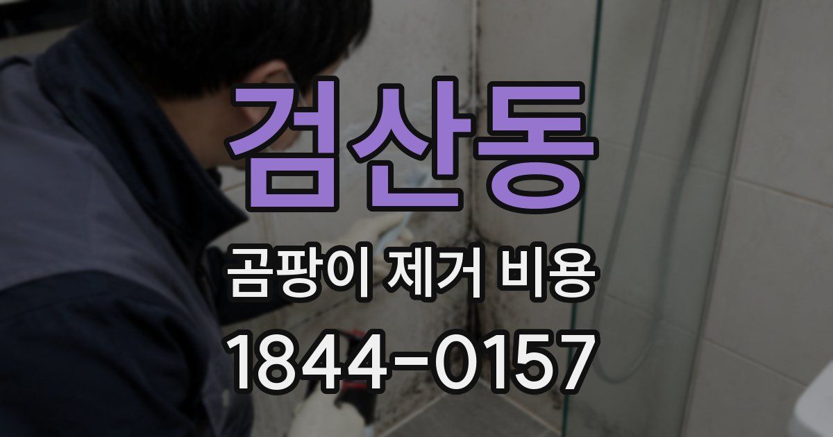 검산동 곰팡이 제거 비용