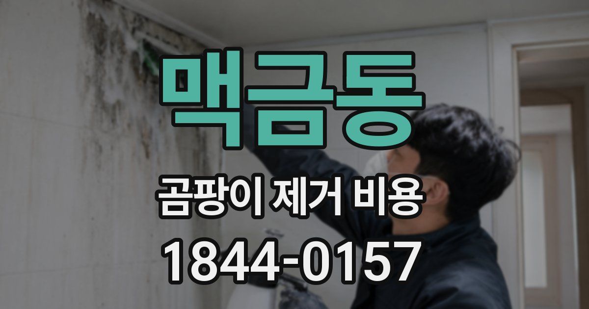 맥금동 곰팡이 제거 비용
