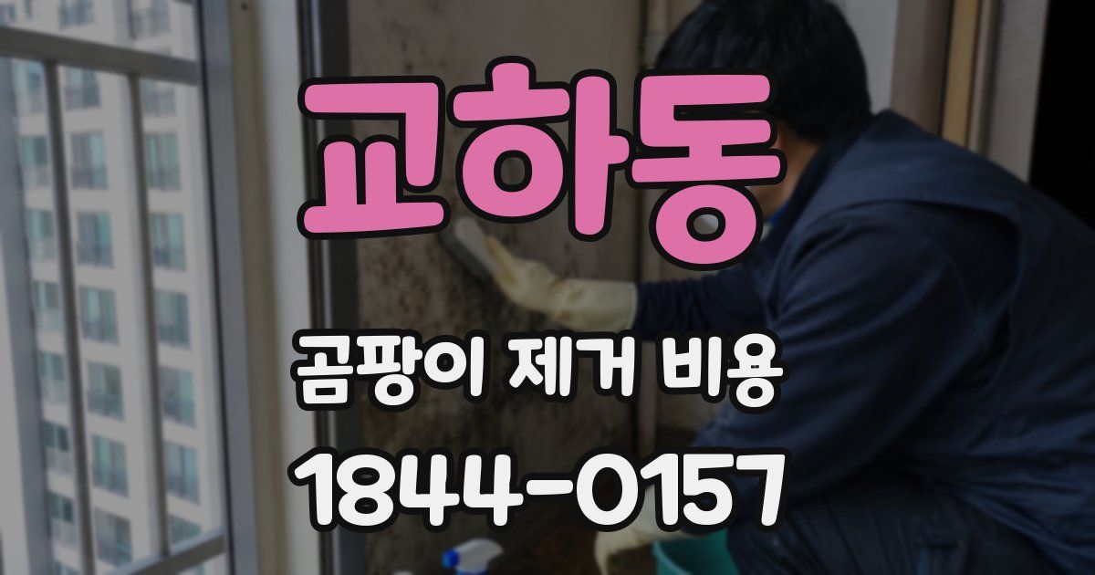 교하동 곰팡이 제거 비용
