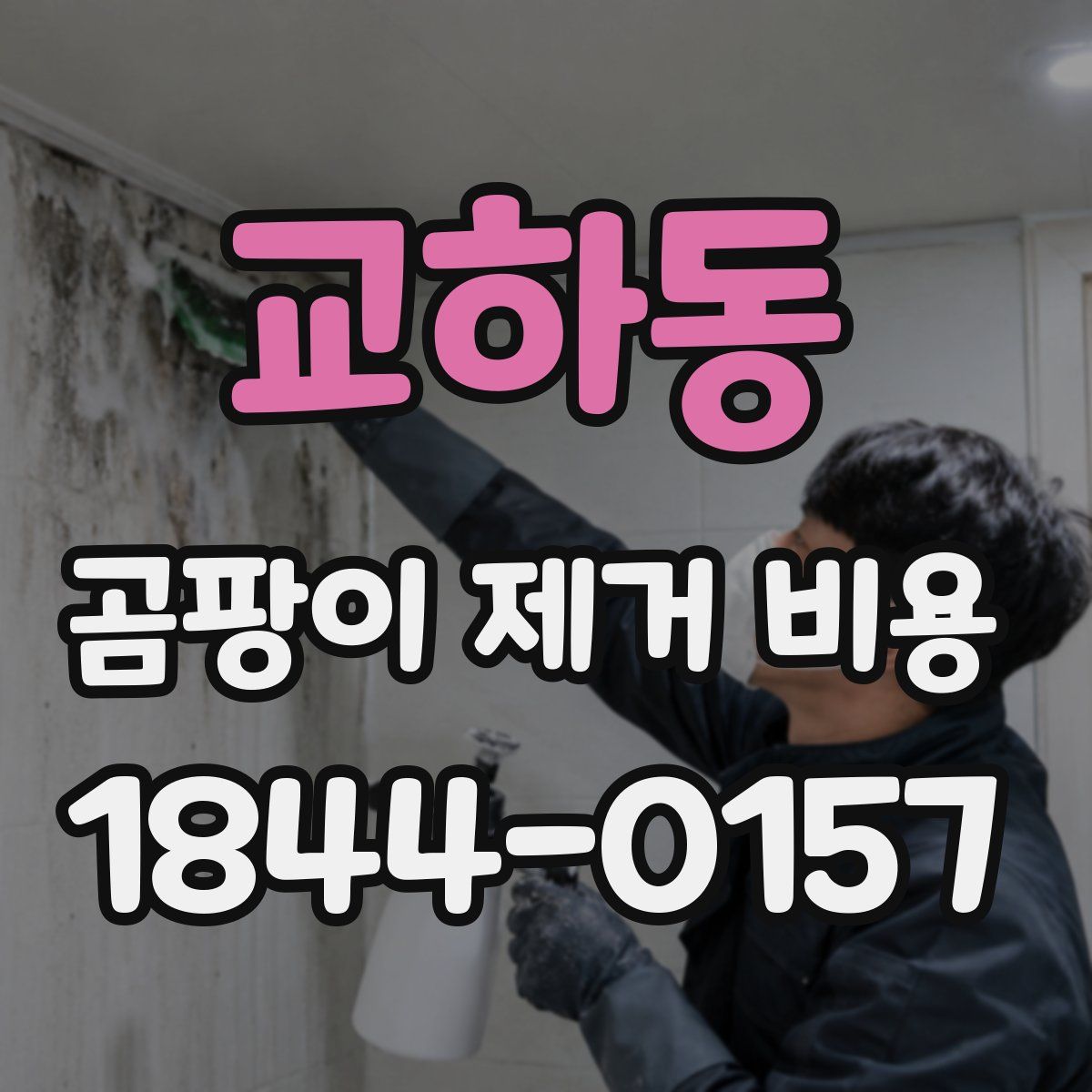 교하동 곰팡이 제거 비용