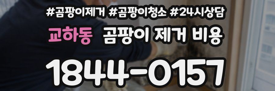 교하동 곰팡이 제거 비용