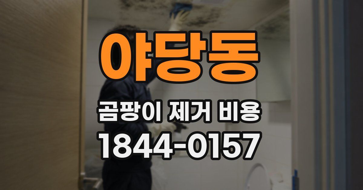 야당동 곰팡이 제거 비용