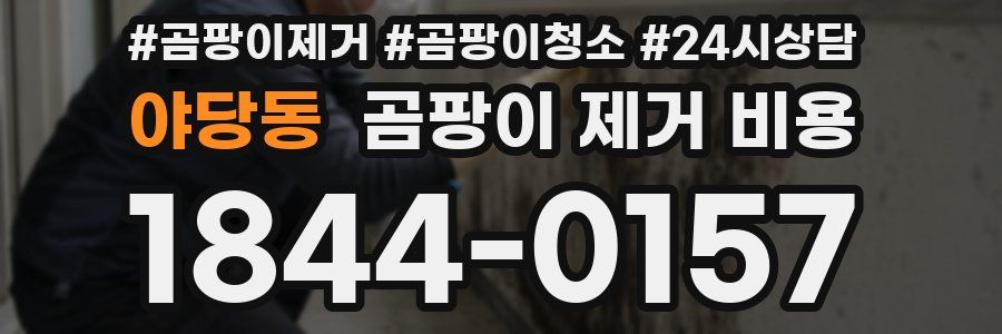 야당동 곰팡이 제거 비용