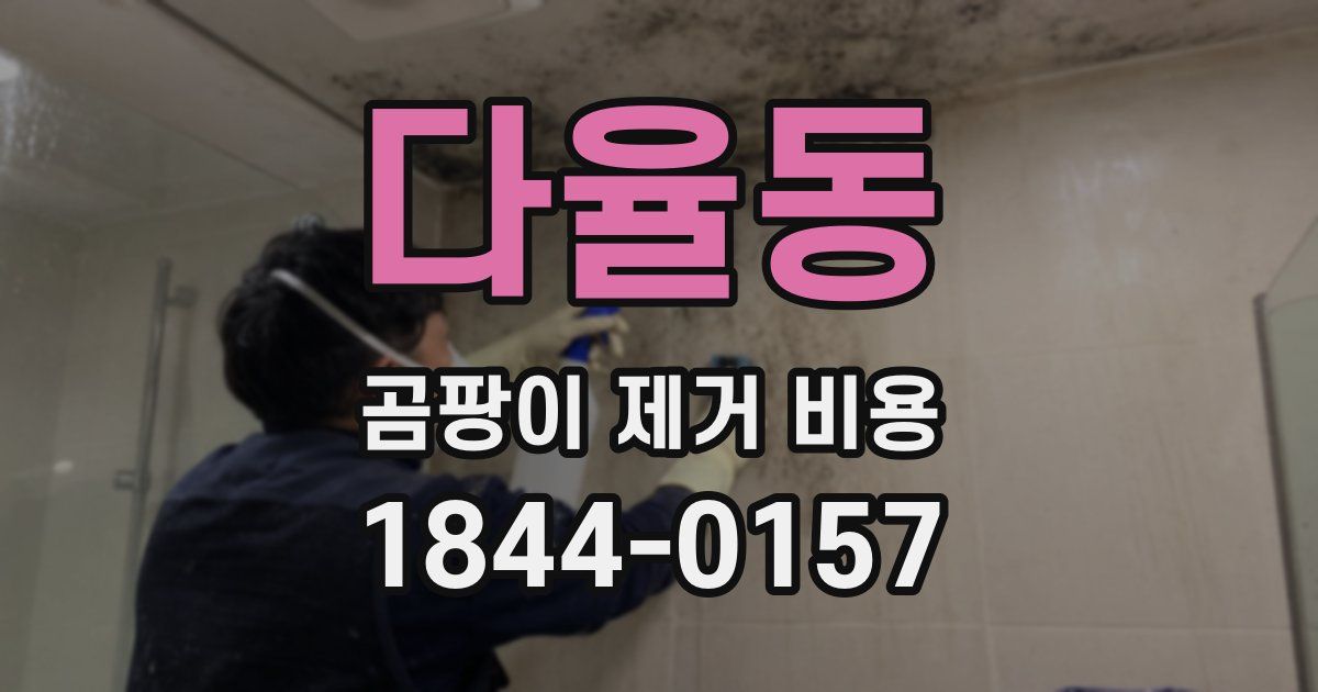 다율동 곰팡이 제거 비용