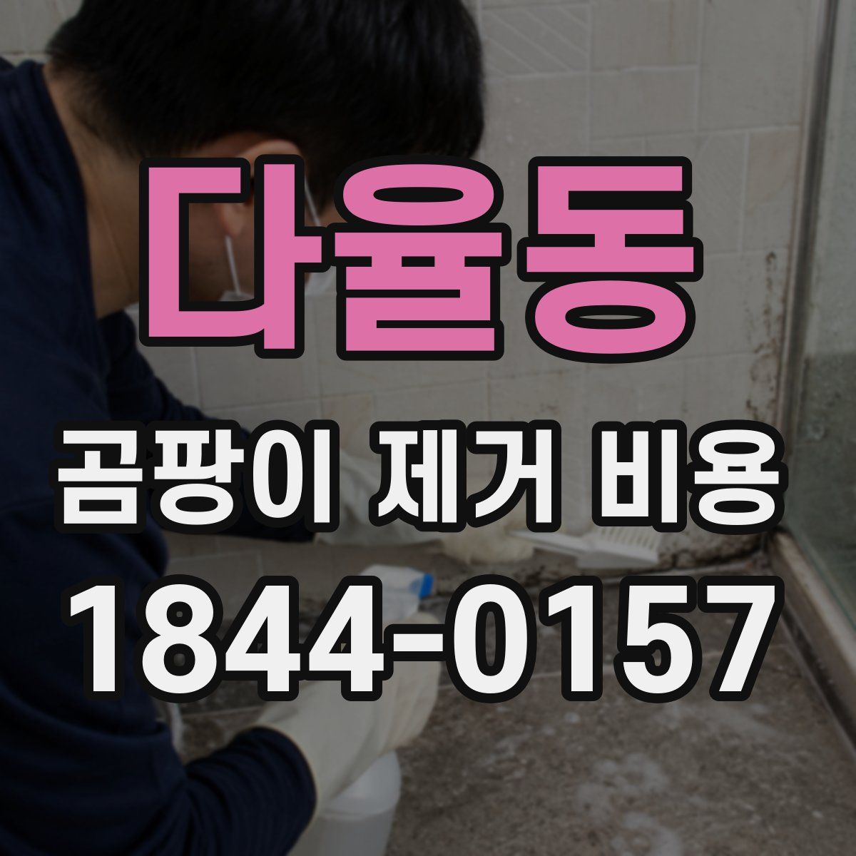 다율동 곰팡이 제거 비용