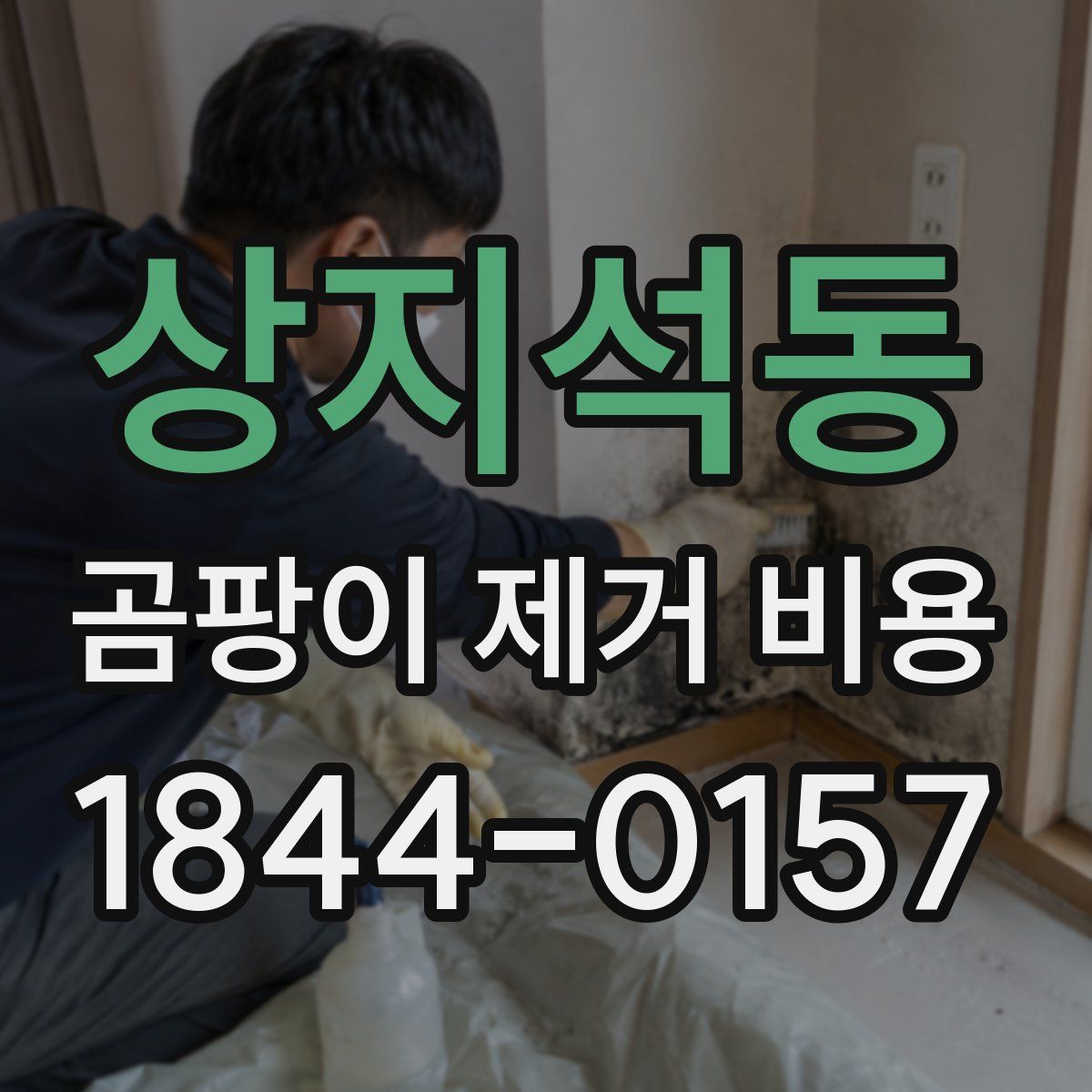 상지석동 곰팡이 제거 비용