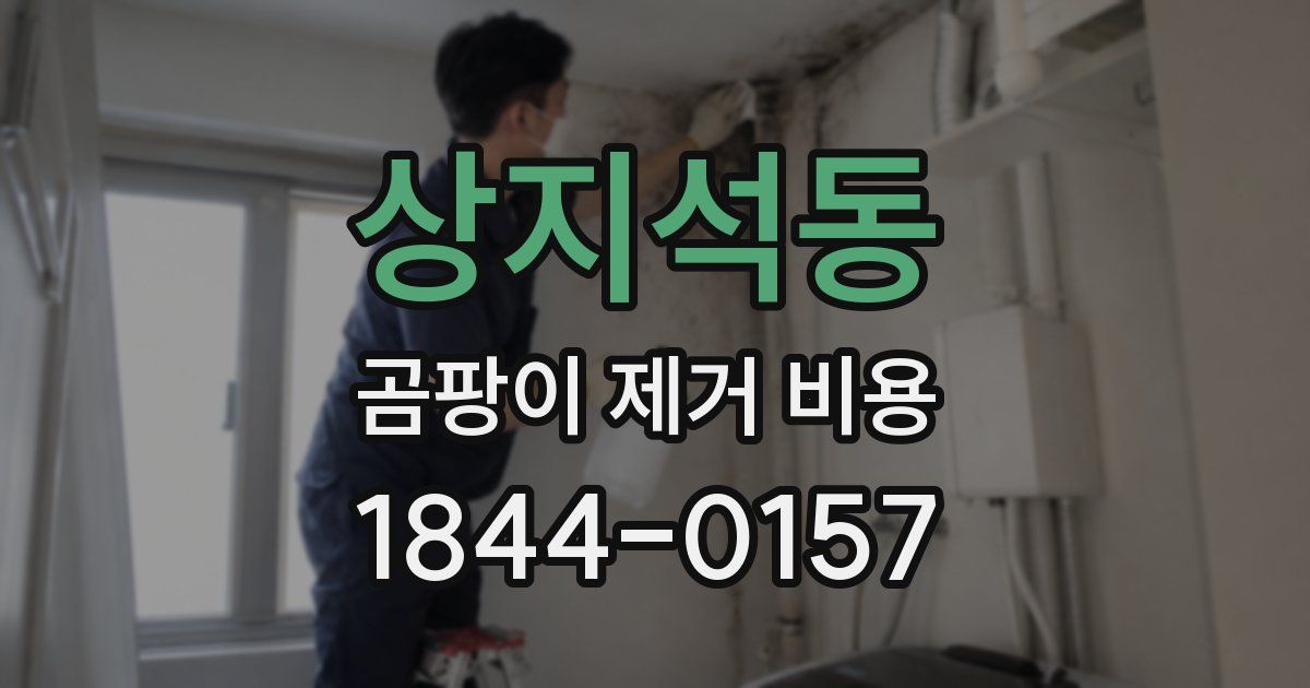 상지석동 곰팡이 제거 비용
