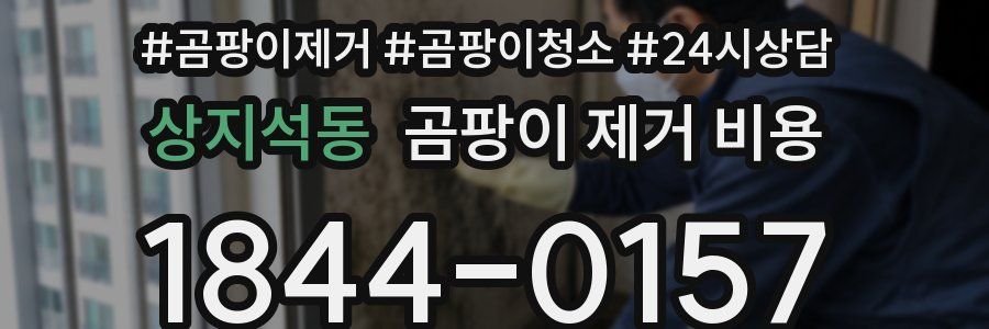 상지석동 곰팡이 제거 비용