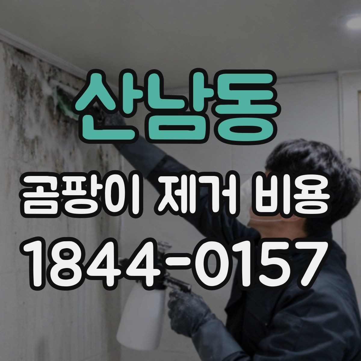 산남동 곰팡이 제거 비용 줄눈 곰팡이와 표면 오염을 구분하는 법