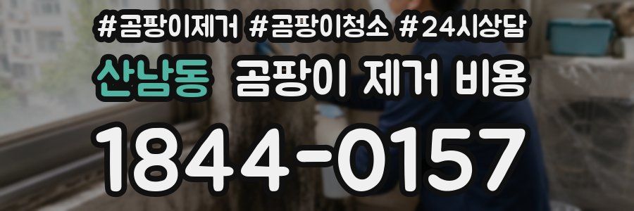 산남동 곰팡이 제거 비용