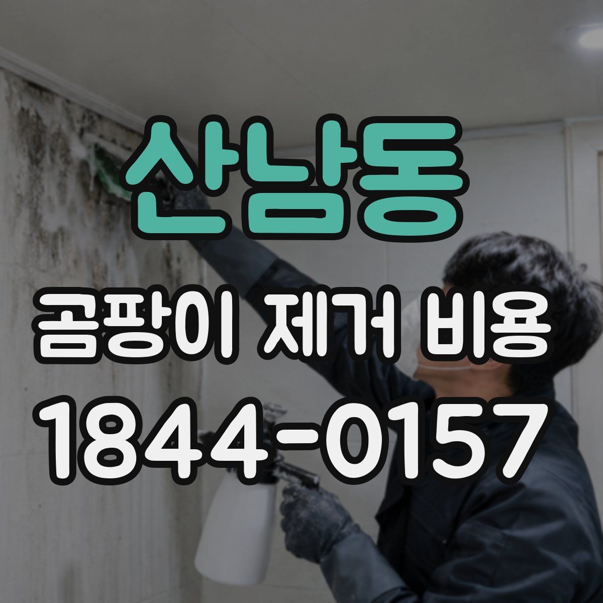 산남동 곰팡이 제거 비용