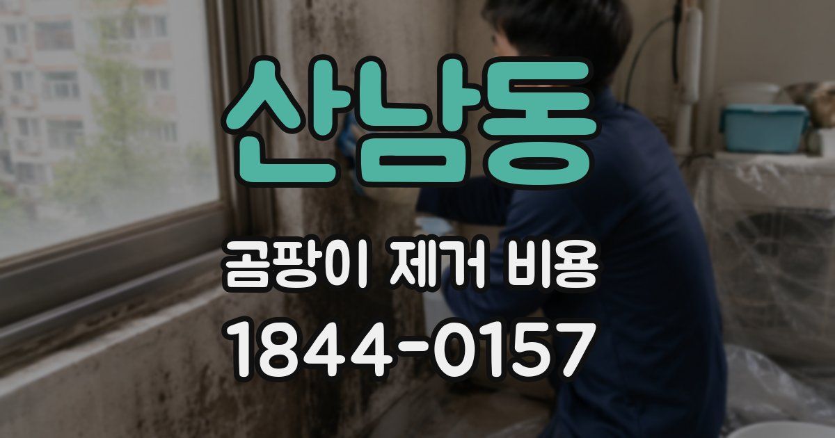 산남동 곰팡이 제거 비용