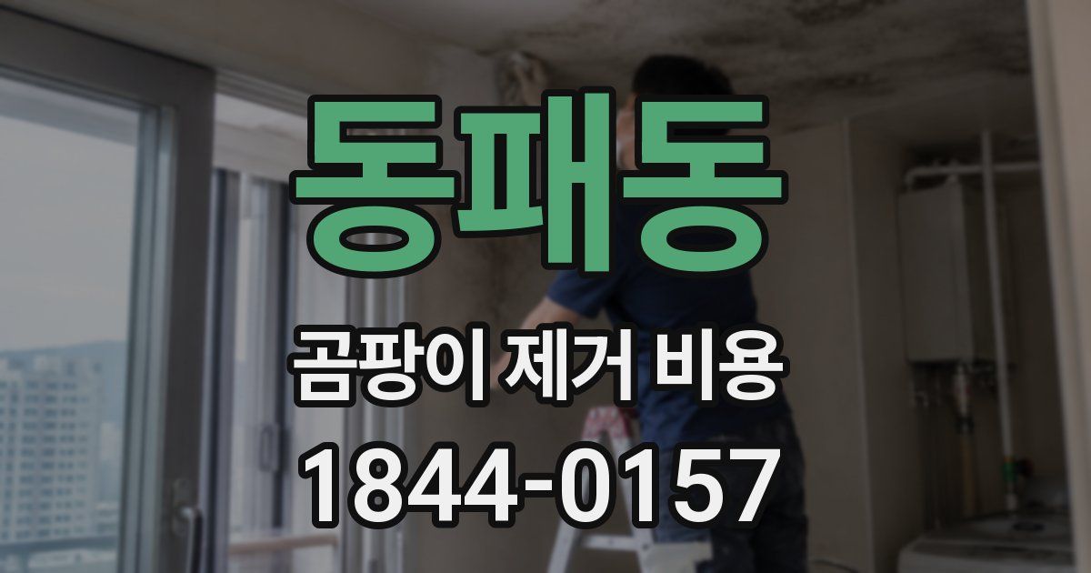 동패동 곰팡이 제거 비용