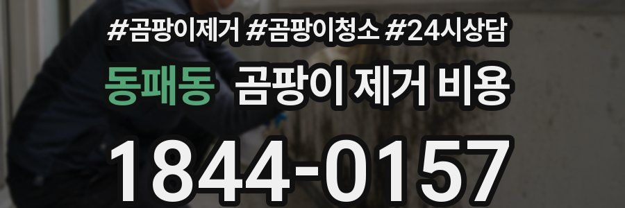 동패동 곰팡이 제거 비용