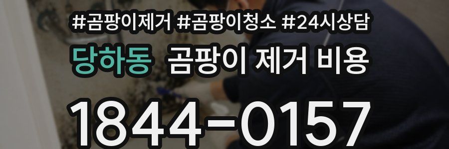 당하동 곰팡이 제거 비용