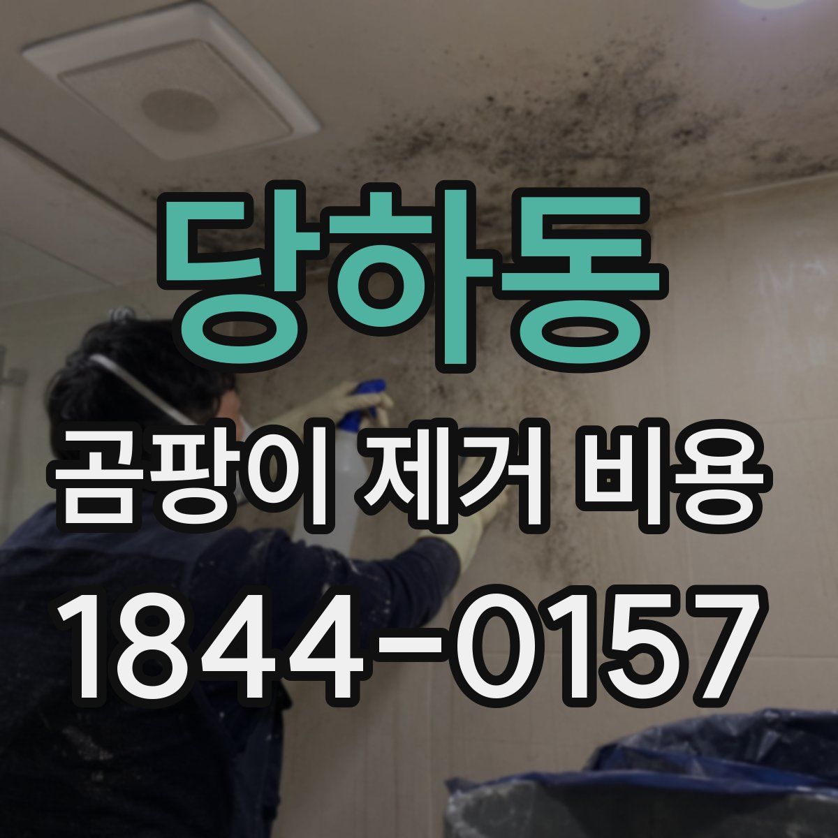 당하동 곰팡이 제거 비용