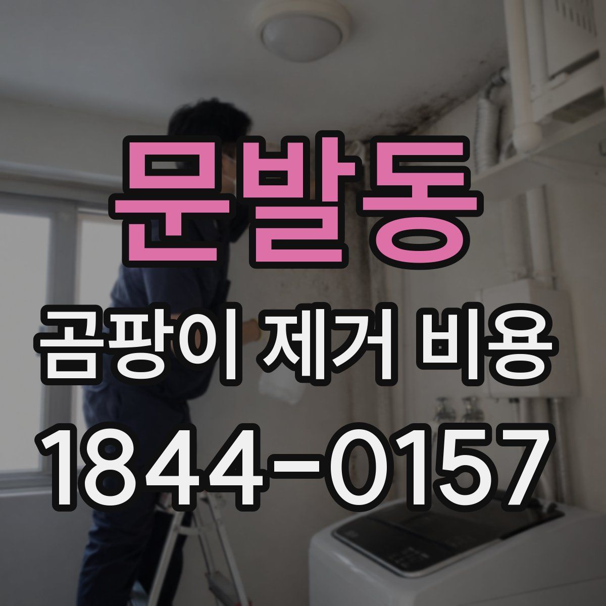 문발동 곰팡이 제거 비용