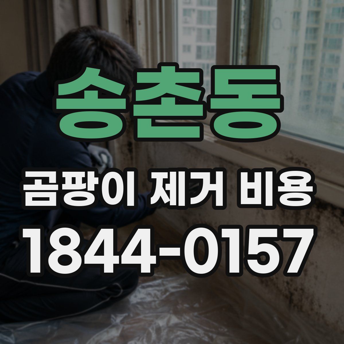 송촌동 곰팡이 제거 비용