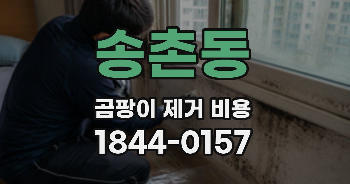 송촌동 곰팡이 제거 비용