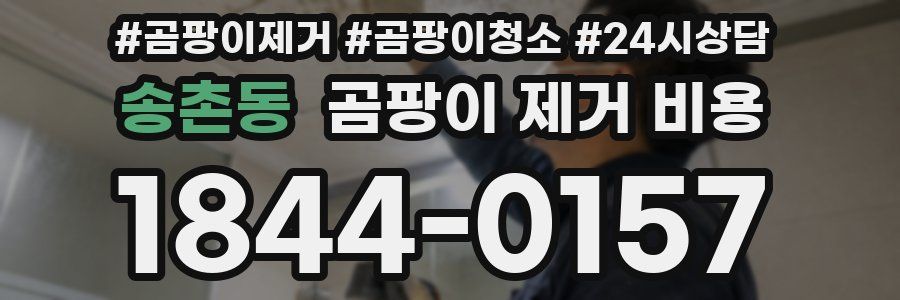 송촌동 곰팡이 제거 비용