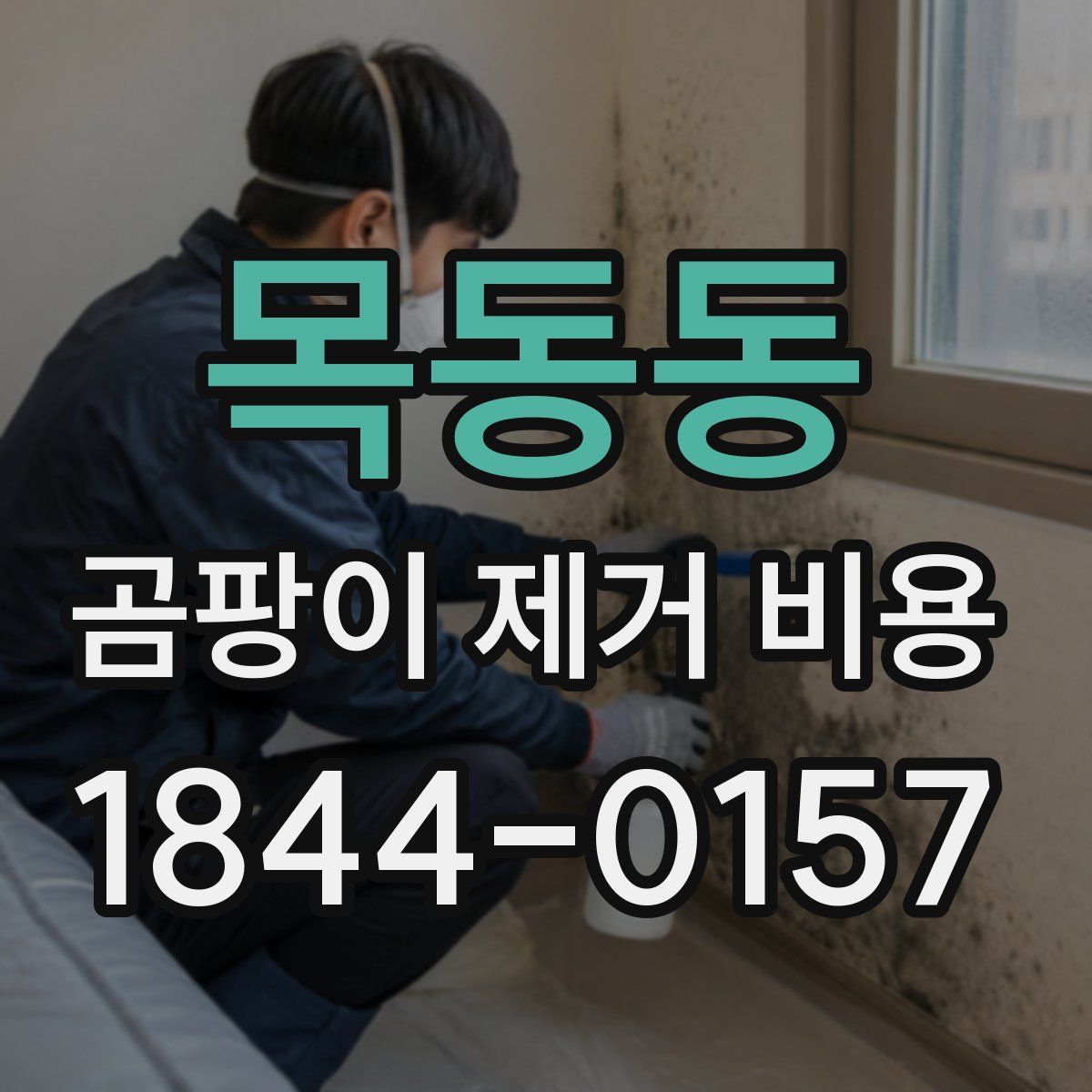 목동동 곰팡이 제거 비용