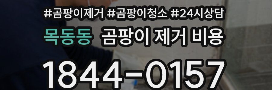 목동동 곰팡이 제거 비용