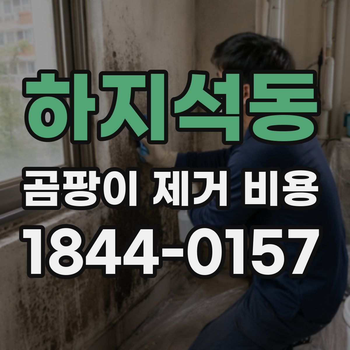 하지석동 곰팡이 제거 비용