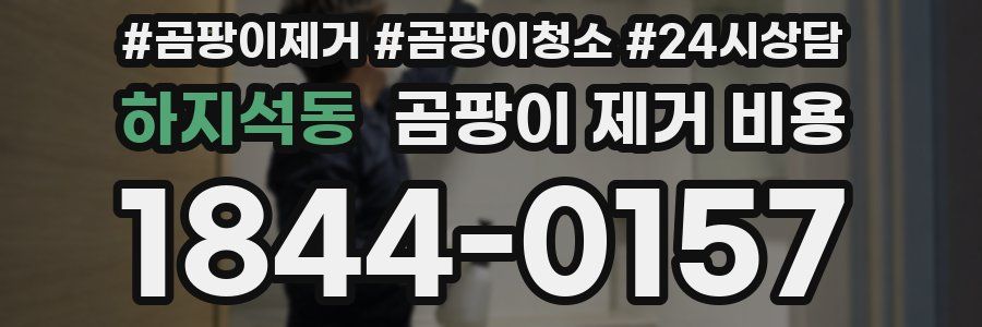 하지석동 곰팡이 제거 비용