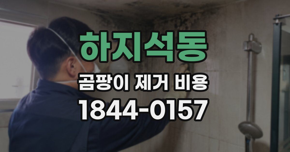 하지석동 곰팡이 제거 비용