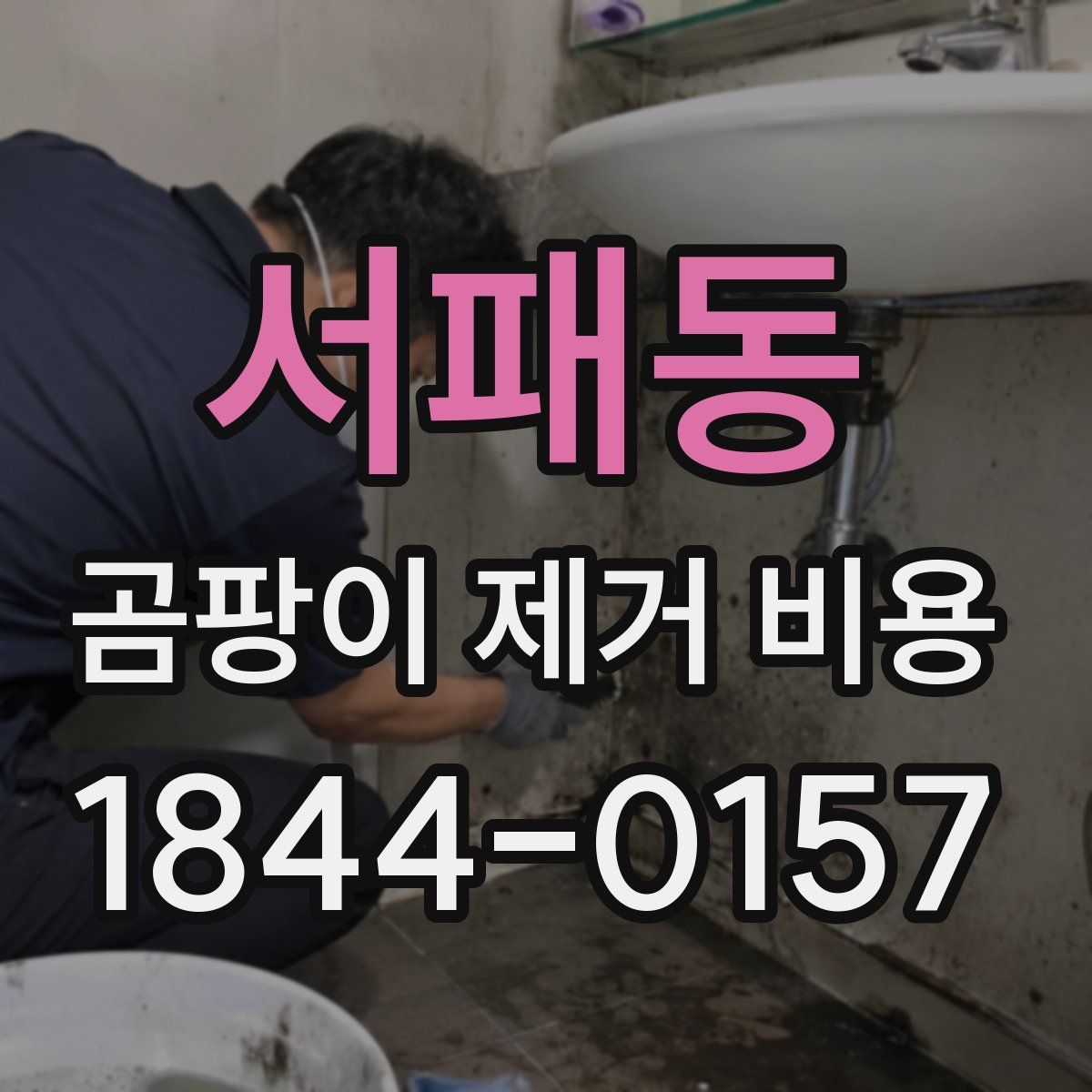 서패동 곰팡이 제거 비용