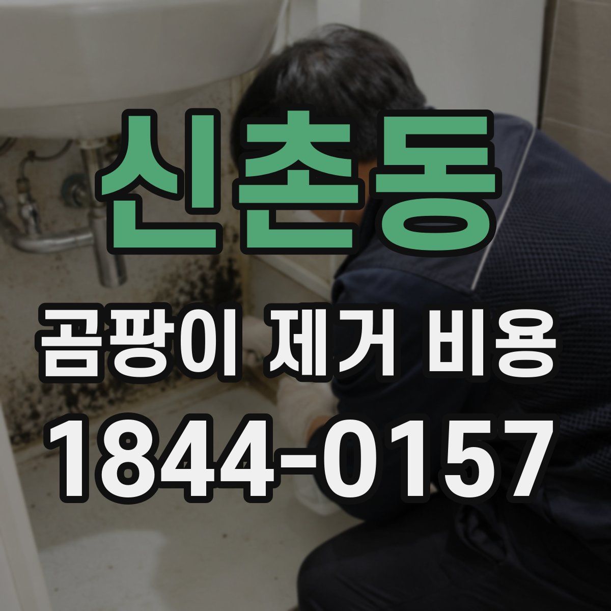 신촌동 곰팡이 제거 비용