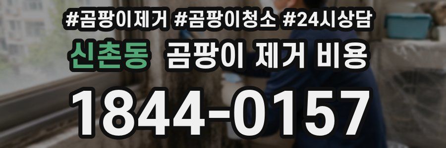 신촌동 곰팡이 제거 비용
