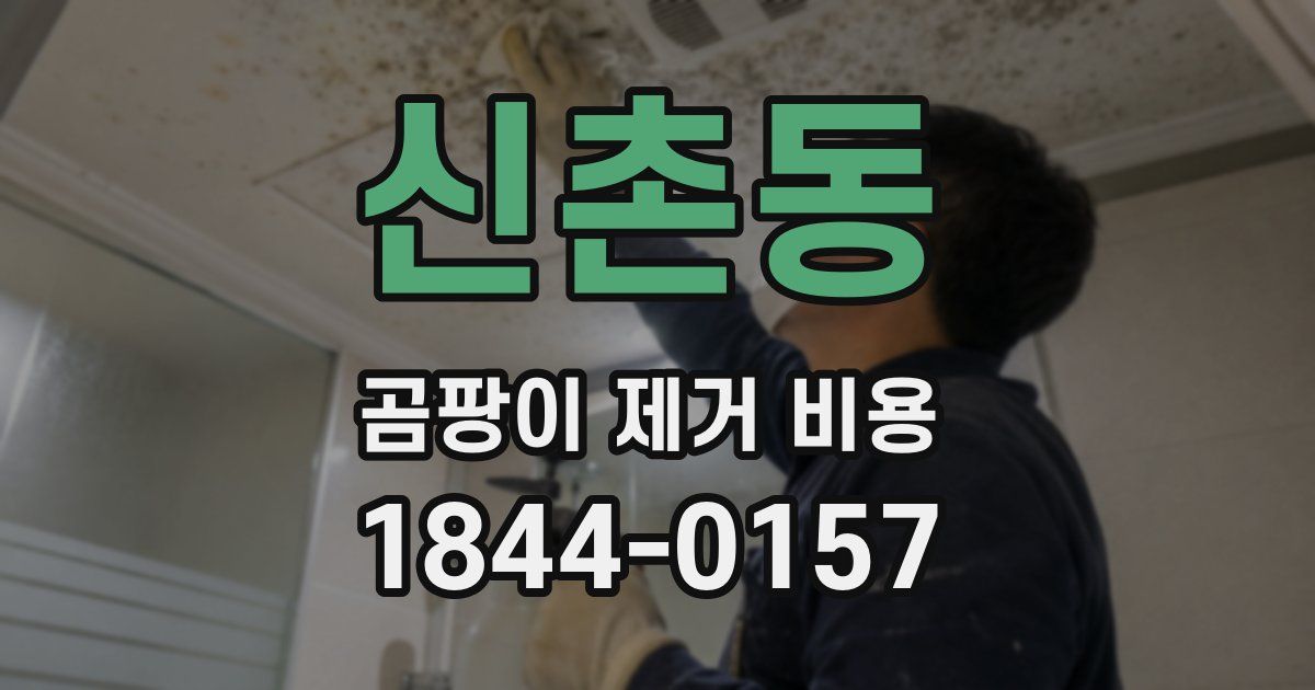 신촌동 곰팡이 제거 비용