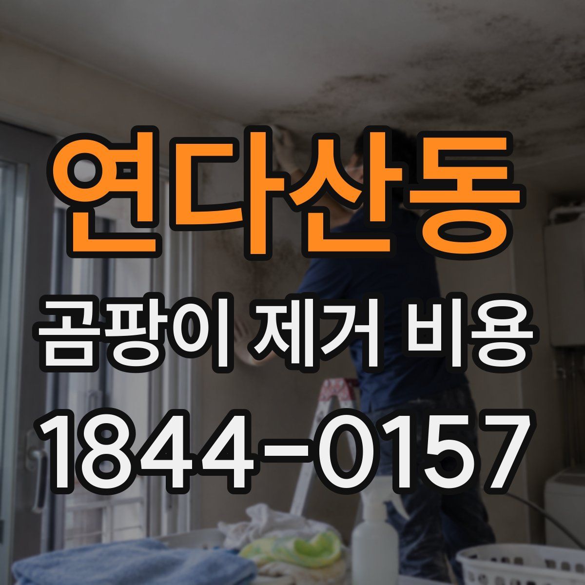 연다산동 곰팡이 제거 비용