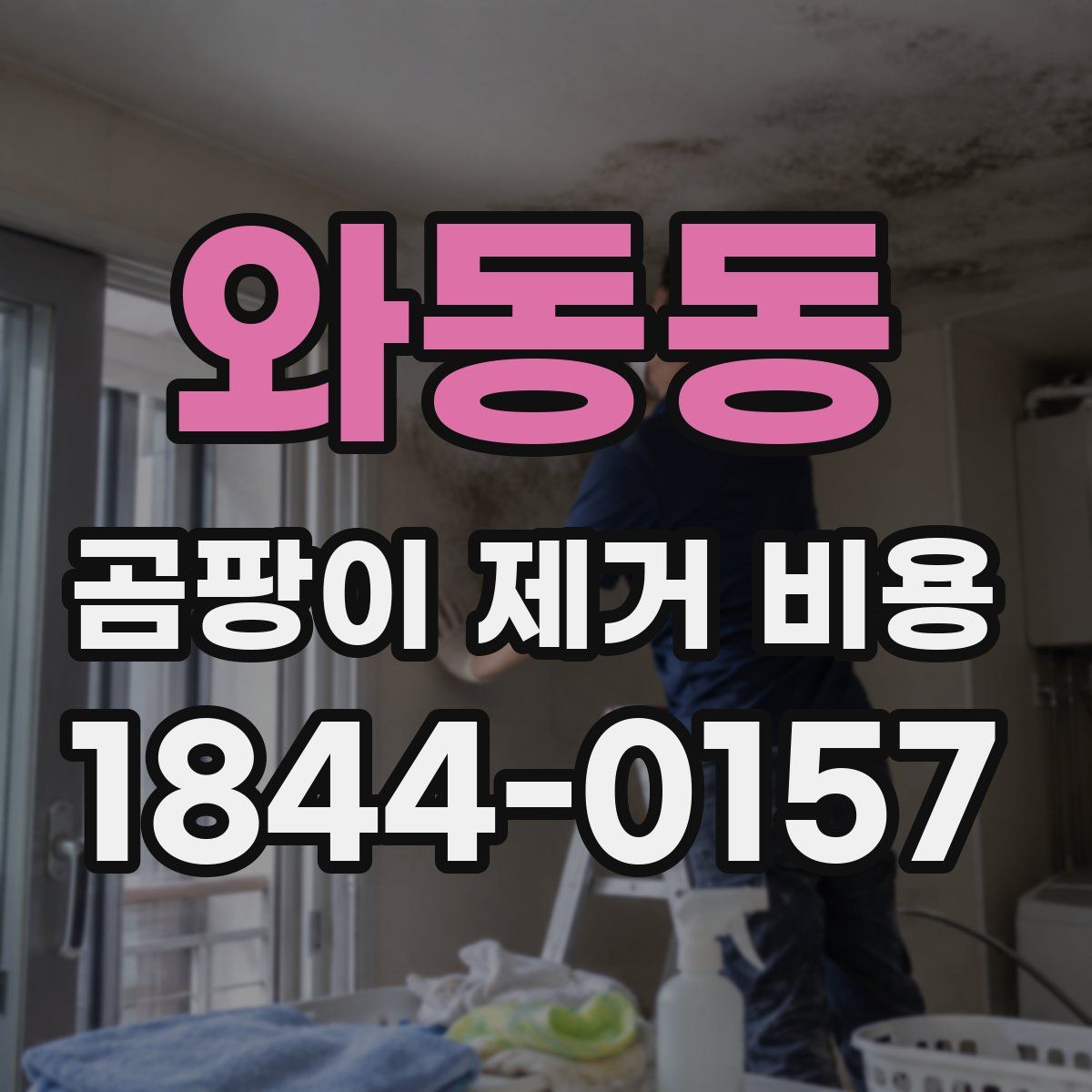 와동동 곰팡이 제거 비용
