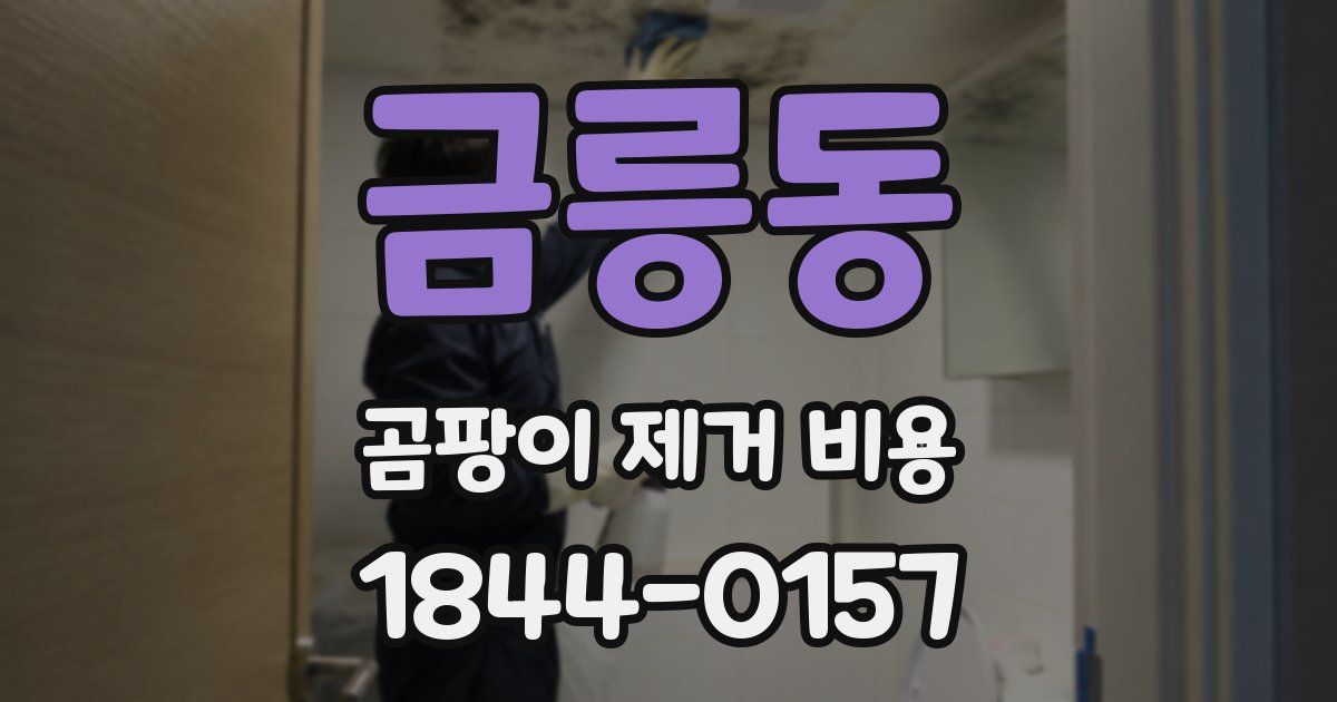 금릉동 곰팡이 제거 비용