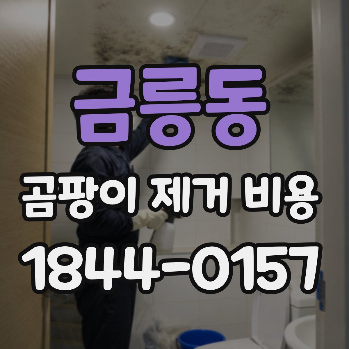 금릉동 곰팡이 제거 비용
