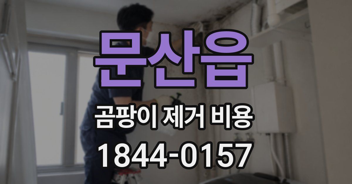 문산읍 곰팡이 제거 비용