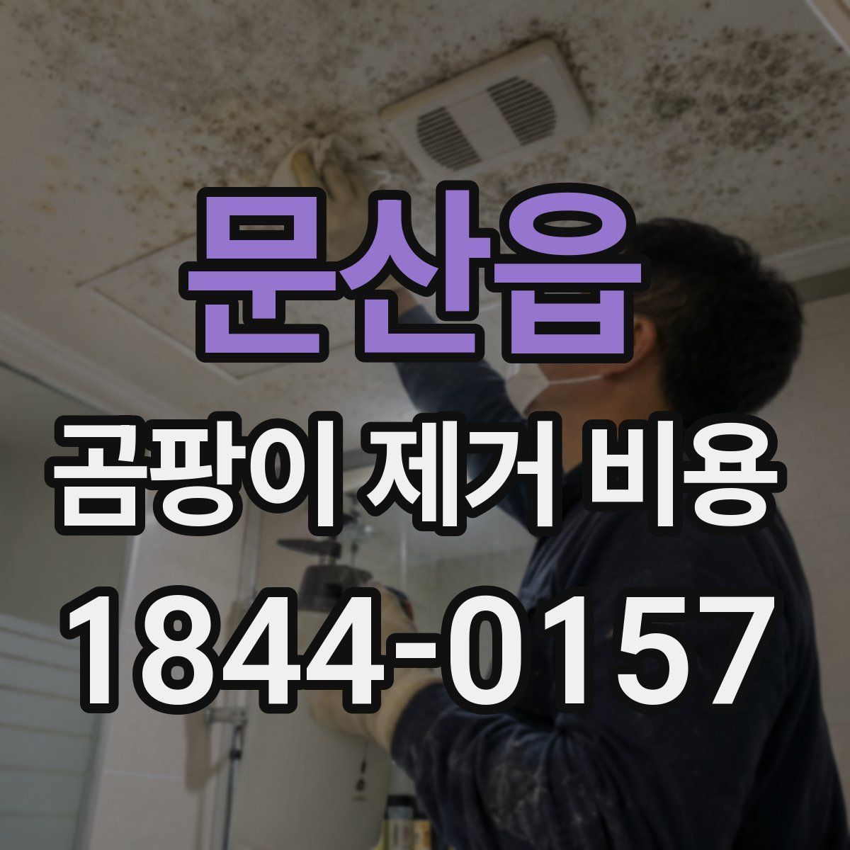 문산읍 곰팡이 제거 비용